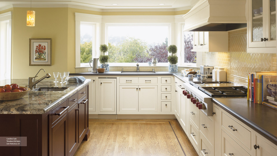 White Kitchen Cabinet Best Of F White Kitchen Cabinets Omega Cabinetry