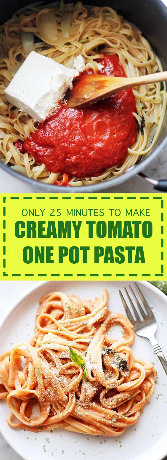 Only 25 Minutes to Make! Creamy Tomato One Pot Pasta