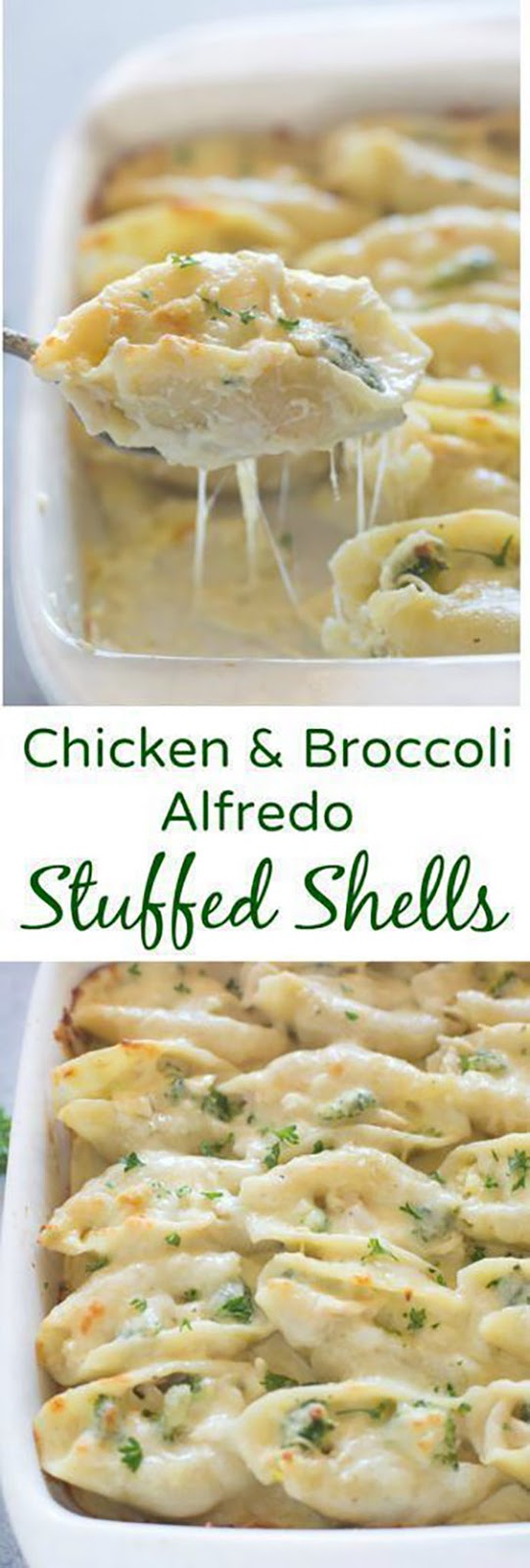 Chicken and Broccoli Alfredo Stuffed Shells
