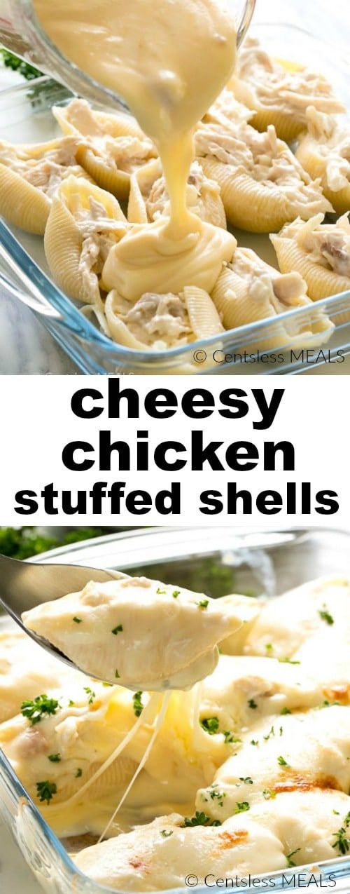 Cheesy Chicken Stuffed Shells Recipe