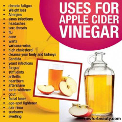 Apple Cider Vinegar Benefits
 How to Treat Allergies Naturally This Spring Ask a Prepper