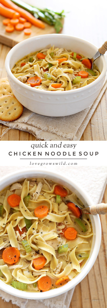 Chicken Noodle Soup
 Quick and Easy Chicken Noodle Soup Love Grows Wild