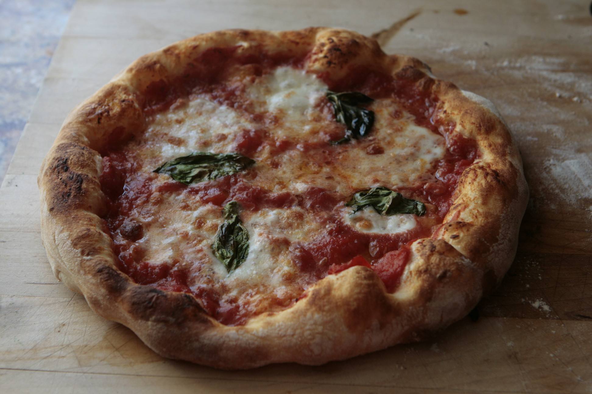 Pizza Dough Recipe Inspirational Neapolitan Pizza Dough Recipe