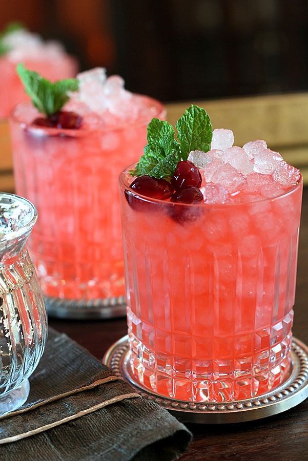 Cranberry Gin Fizz Cocktail Recipes – Home Inspiration and DIY Crafts Ideas