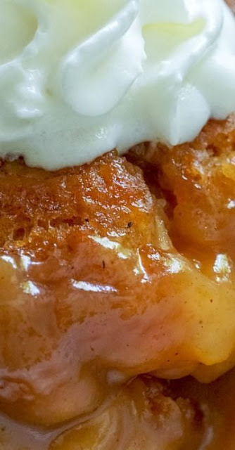 Tennessee Peach Pudding Recipes – Home Inspiration and DIY Crafts Ideas