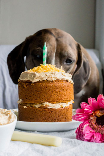 Birthday Cake For Dogs
 Mini Dog Birthday Cake