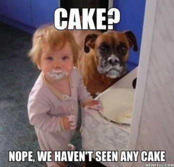 Birthday Cake Meme
 27 Most Funny Cake Meme And All The Time