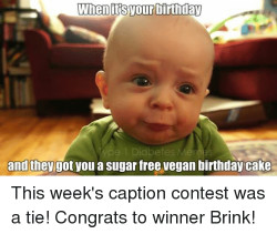 Birthday Cake Meme
 25 Best Memes About Vegan Birthday