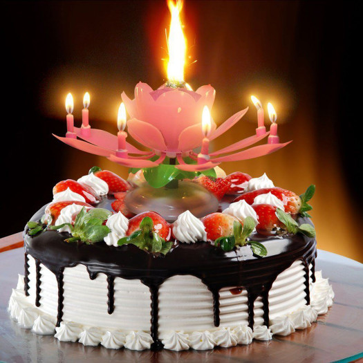 Birthday Cake With Candles
 Birthday Candle Lotus Flower Blossom Musical Party Cake
