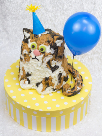 Cat Birthday Cake
 The Purrfect Birthday Cake