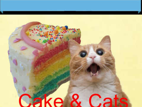 Cat Licking Your Birthday Cake
 There s a Cat licking your Birthday Cake l Video Star