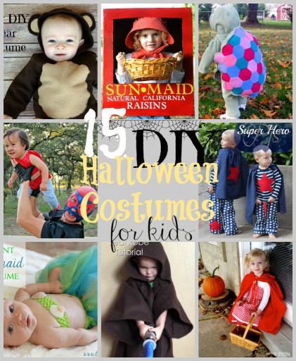 DIY Costume For Kids
 15 DIY Kids Halloween Costumes Happy Hour Projects