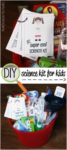 DIY Kits For Kids
 DIY Home Science Kit for Kids