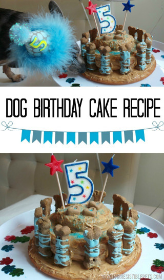 Doggie Birthday Cake
 Dog Birthday Cake Recipe for Chuy’s 5th Birthday