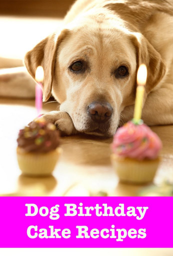 Doggie Birthday Cake
 Dog Birthday Cake Recipes From Easy To Fancy Bakes