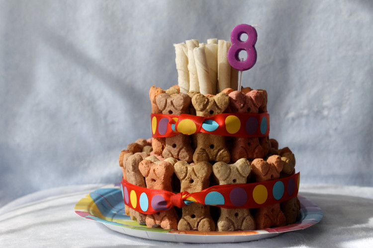 Doggie Birthday Cake
 Dog Biscuit Birthday Cake