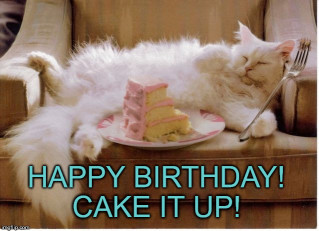 Happy Birthday Cake Meme
 20 Cat Birthday Memes That Are Way Too Adorable