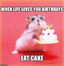 Happy Birthday Cake Meme
 Top 100 Original and Funny Happy Birthday Memes