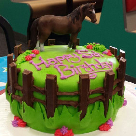 Horse Birthday Cake
 10 Horse Birthday Parties You ll Wish You d Had Wide