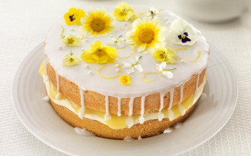 Lemon Birthday Cake
 Lemon & Elderflower Drizzle Cake Recipe Bake With Stork