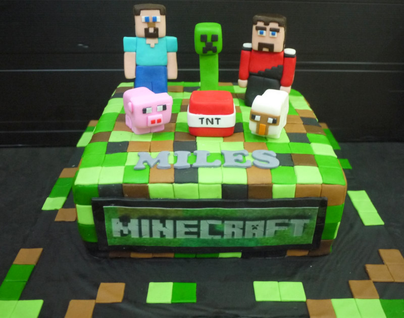 Minecraft Birthday Cake
 Cupcake Divinity Miles s Minecraft cake