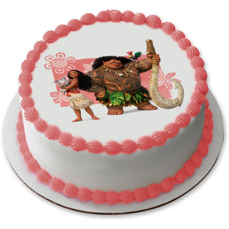 Moana Birthday Cake
 Moana Birthday Party Supplies Theme Party Packs