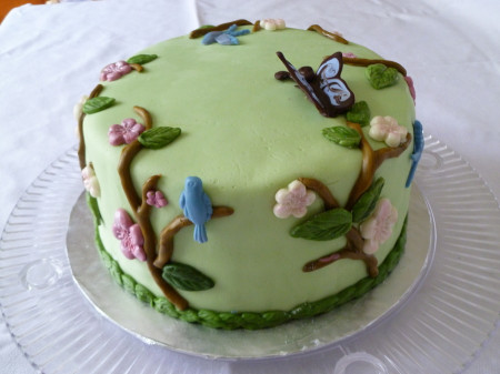 Moldy Birthday Cake
 Birthday Cake Using Wilton Nature Mold CakeCentral