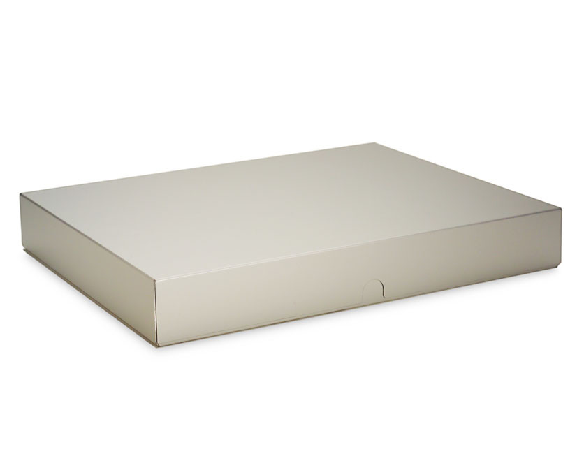 11x17 Paper Organizer
 Machina Storage Box 2 inch by Pina Zangaro 8 5x11