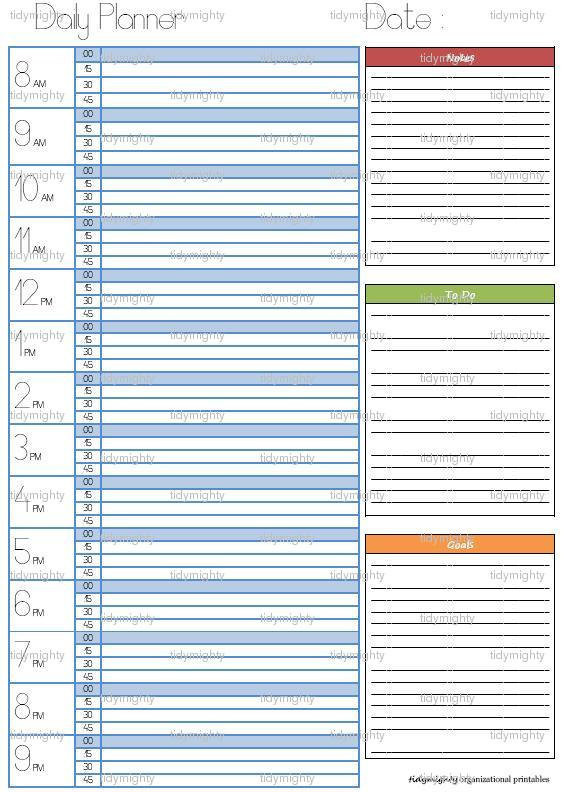 Day Planner Organizer
 Daily Day Planner Organizer Printable PDF INSTANT by