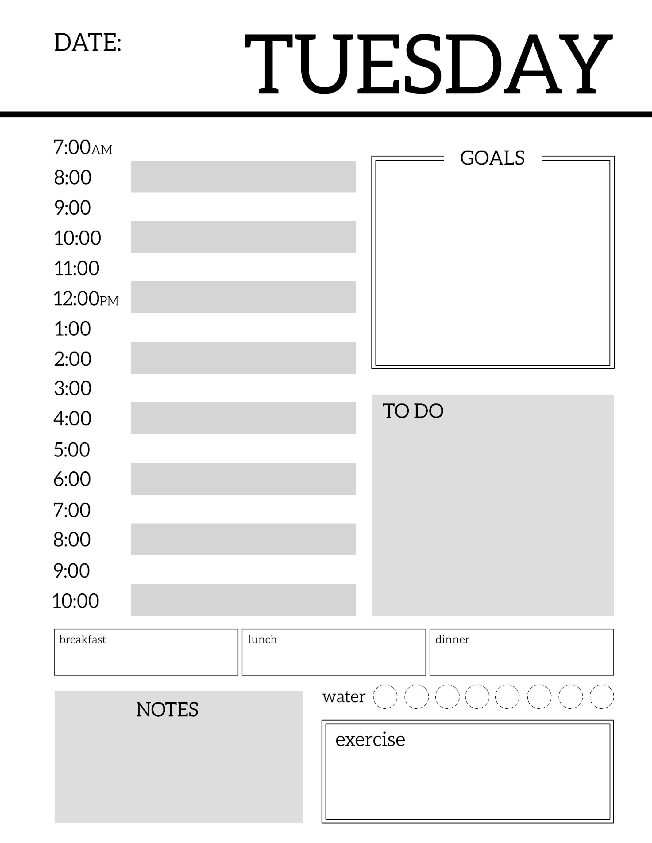 Day Planner Organizer
 Daily Planner Printable Template Sheets Paper Trail Design