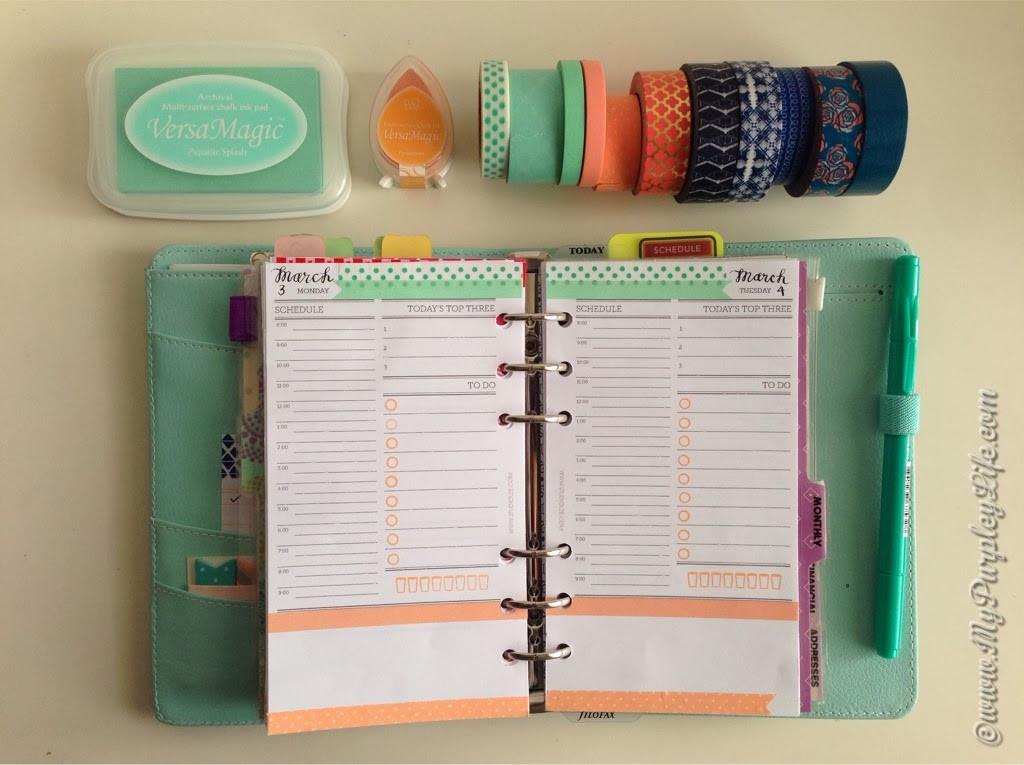 Organizer Planner
 Month in Review February 2014