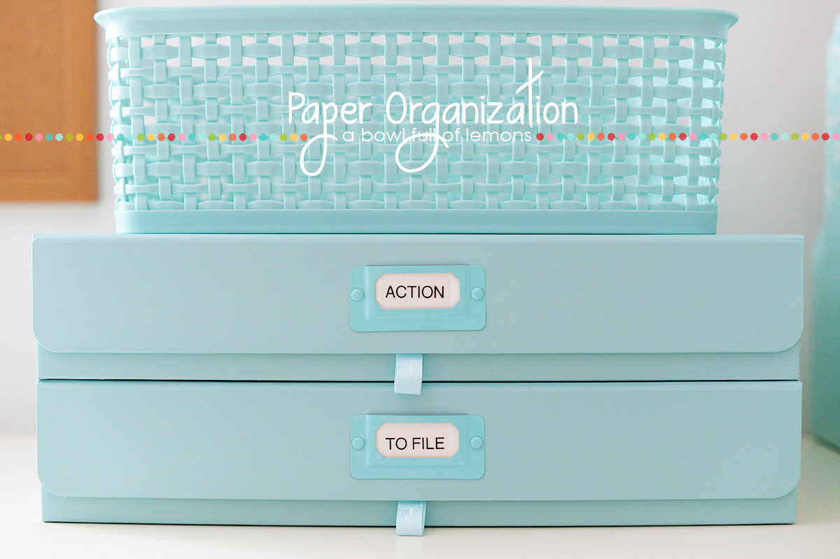 Paper Organization
 Paper Organization