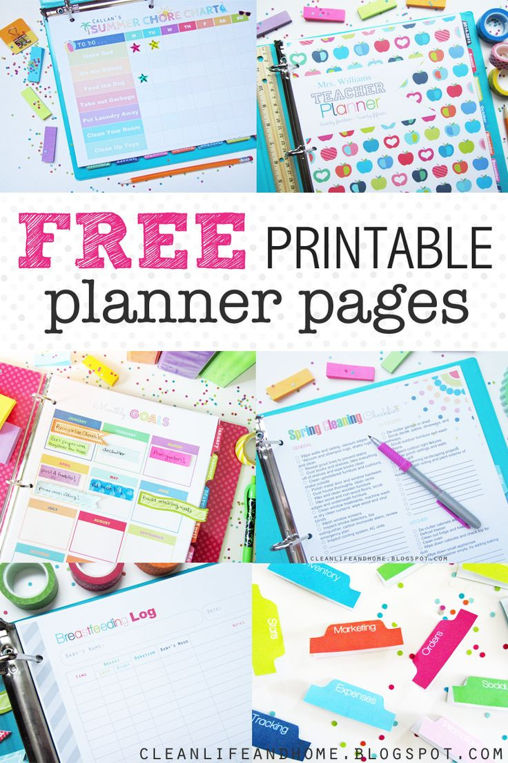 Planner Organization Ideas
 25 Best Ideas about Bud Planner on Pinterest