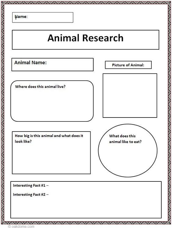 Research Paper Graphic Organizer
 mon Core Animal Research Graphic Organizer