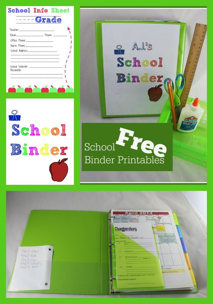School Binder Organization
 School Binder Organization FREE Printables
